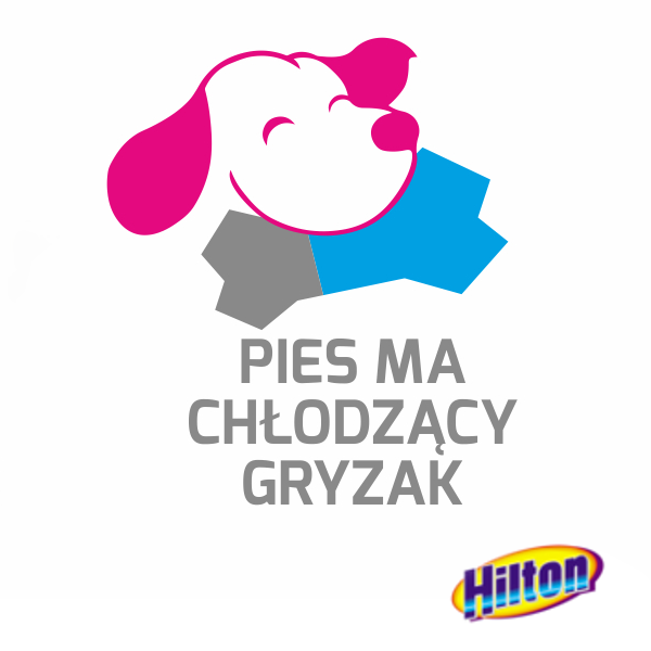Hilton_kosc_chlodzaca_dla_psa|Hilton_kosc_chlodzaca_dla_psa|Hilton_kosc_chlodzaca_dla_psa|Hilton_kosc_chlodzaca_dla_psa