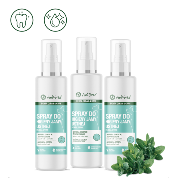 AniForte® DENTA CLEAN&CARE - SPRAY DO HIGIENY JAMY USTNEJ