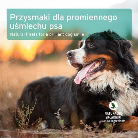 AniForte® - PRZYSMAK NA ŚWIEŻY ODDECH