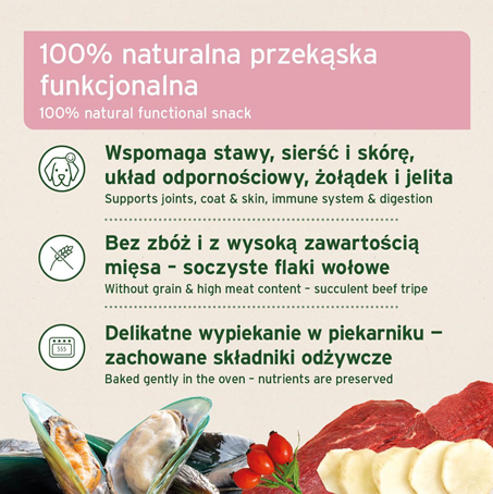 AniForte® - PRZYSMAK 4W1