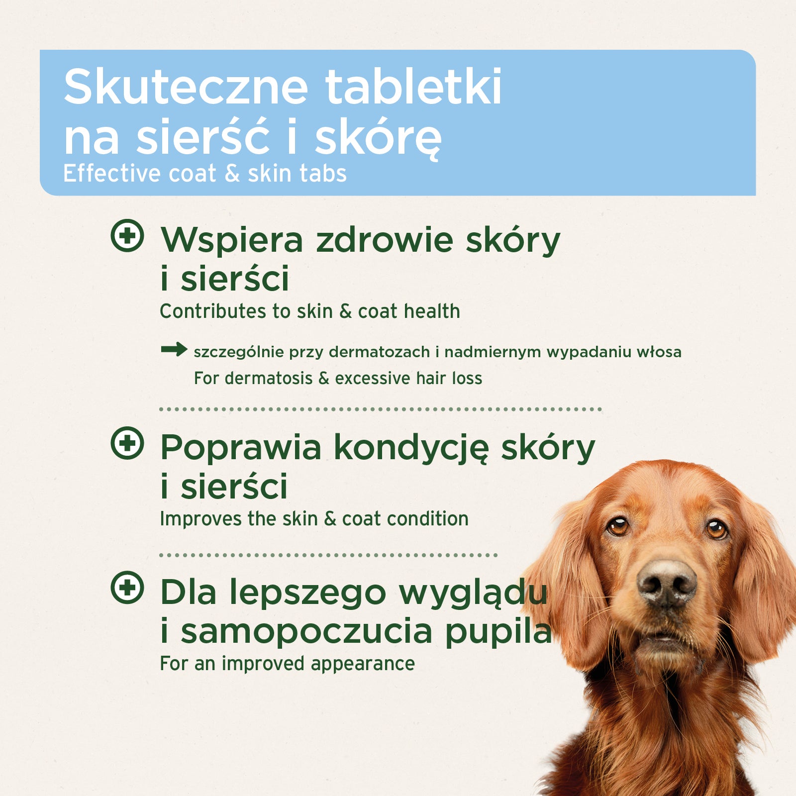 AniForte® - SKÓRA I SIERŚĆ - TABLETKI