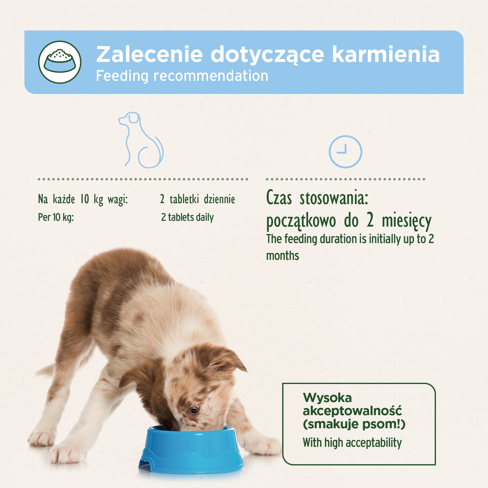 AniForte® - SKÓRA I SIERŚĆ - TABLETKI