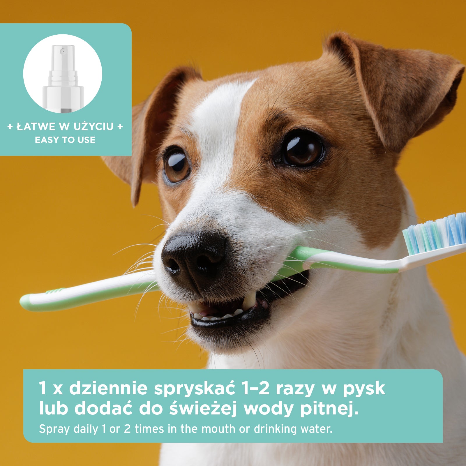AniForte® DENTA CLEAN&CARE - SPRAY DO HIGIENY JAMY USTNEJ