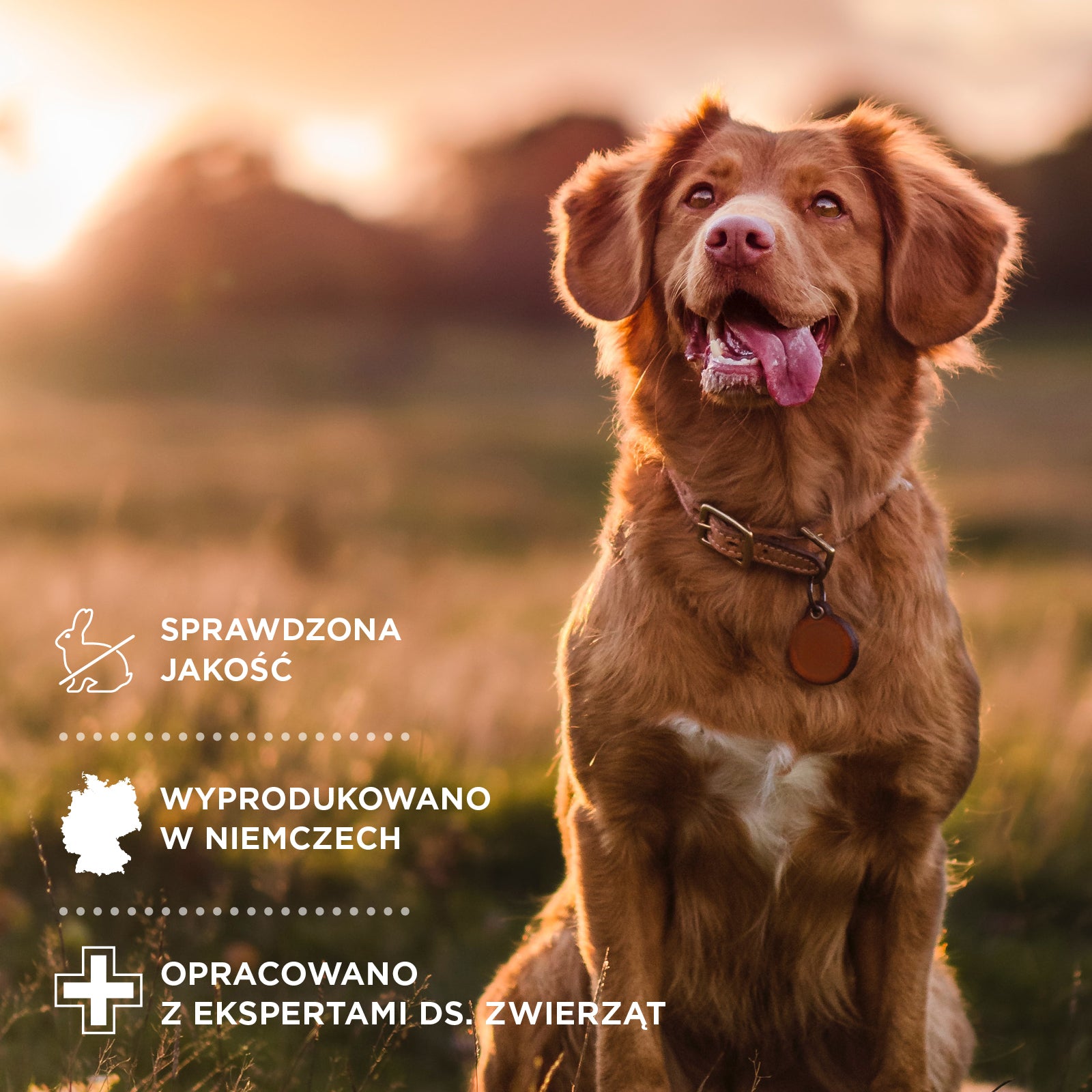 AniForte® DENTA CLEAN&CARE - SPRAY DO HIGIENY JAMY USTNEJ