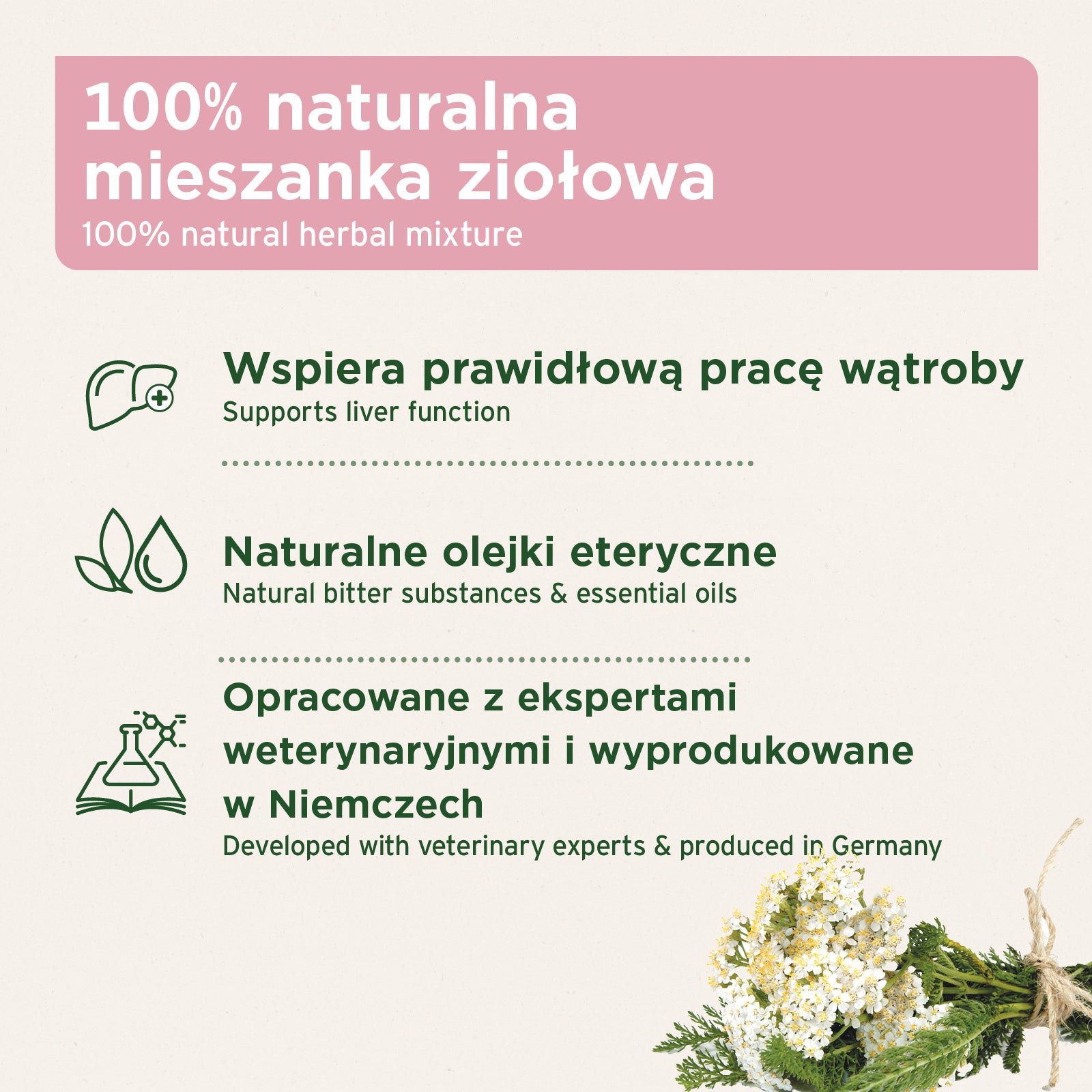 AniForte® – PROSZEK NA WĄTROBĘ