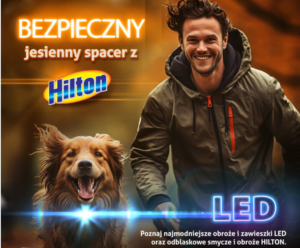 Bezpieczne jesienne spacery z hilton
