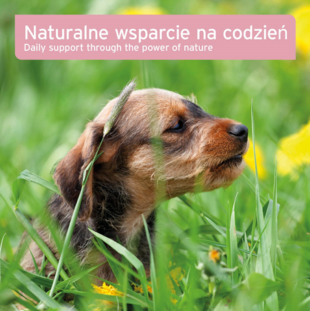 AniForte® - SUPLEMENT NA UKŁAD MOCZOWY