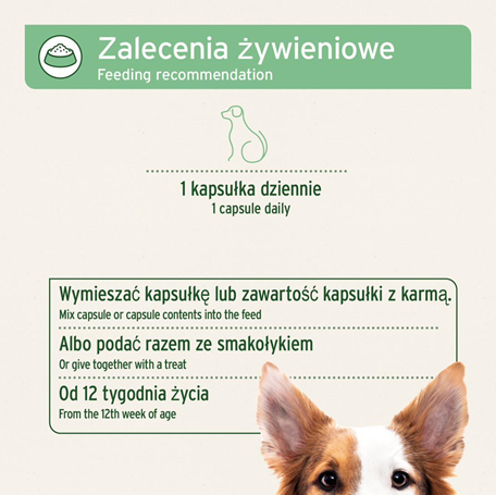 AniForte® - NATURAL TICK PROTECTION - CAPSULES FOR SMALL DOGS (up to 10 kg)