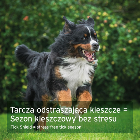 AniForte® - NATURAL TICK PROTECTION - CAPSULES FOR SMALL DOGS (up to 10 kg)