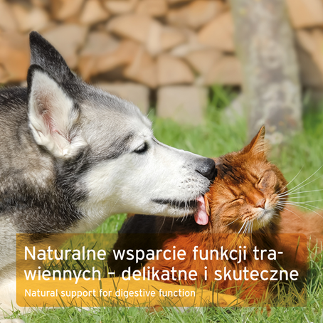 AniForte® - KORA WIĄZU - PROSZEK