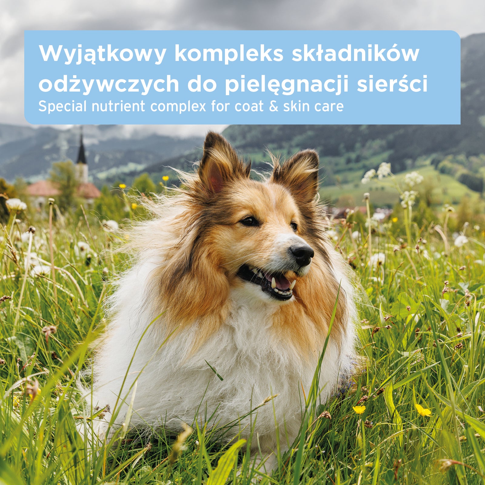 AniForte® - SKÓRA I SIERŚĆ - TABLETKI