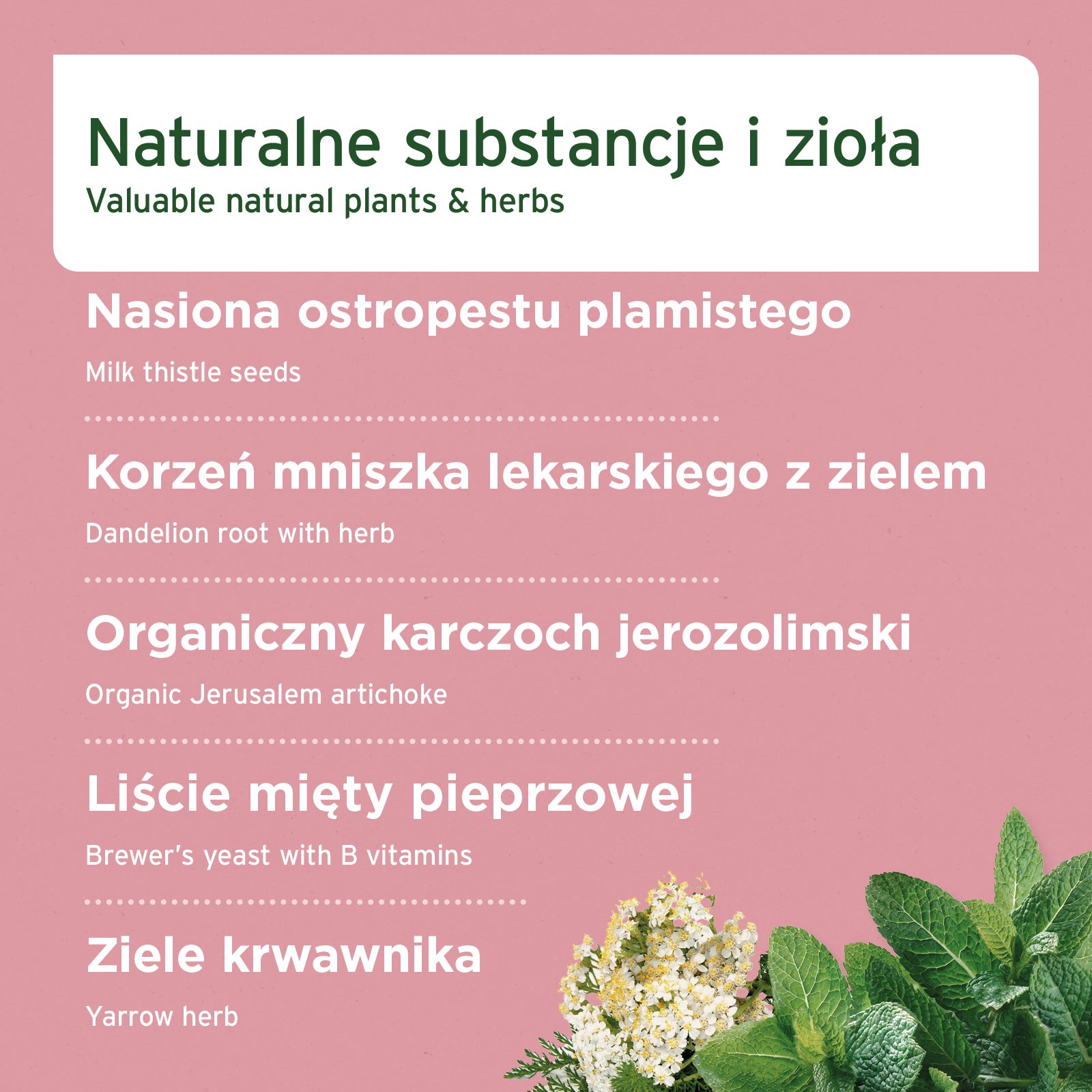 AniForte® – PROSZEK NA WĄTROBĘ